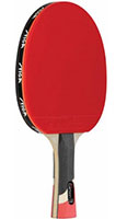 stiga pro carbon paddle