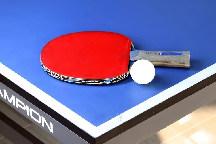 Best Ping Pong Paddle Reviews