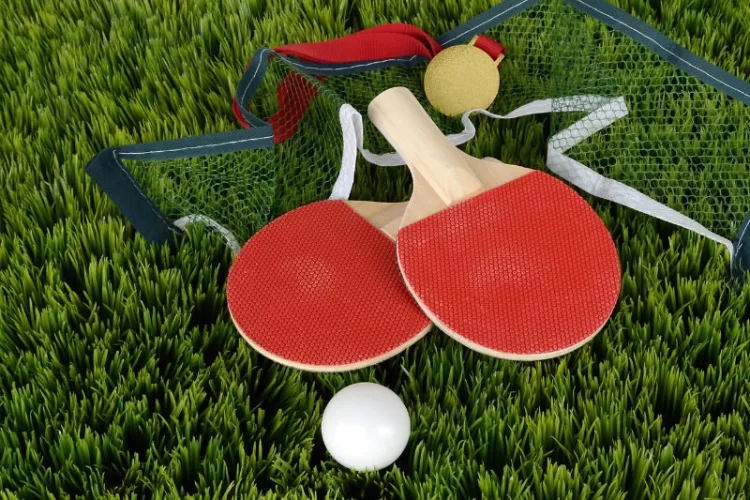 Top Portable Table Tennis Sets by Editors' Picks